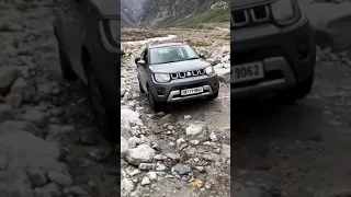 New Maruti Suzuki ignis in the mountain 🔥🔥🔥 #shorts