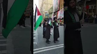 Palestine supporters in Manhattan New York USA🇵🇸#freepalestine #gaza #Palestine #protest #manhattan