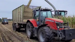 Maisernte 2023 Claas Jaguar 970 schafft 12 Reihen Mais beim häckseln💪🌽