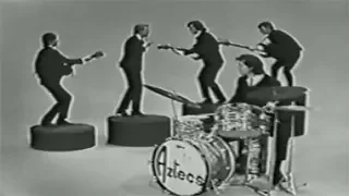 Billy Thorpe and The Aztecs - Poison Ivy (Bandstand 1964)