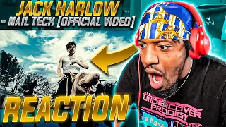 NoLifeShaq REACTS to Jack Harlow - Nail Tech