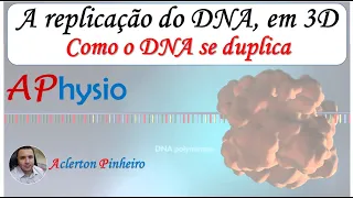 Mecanismo de replicação do DNA, em 3D.