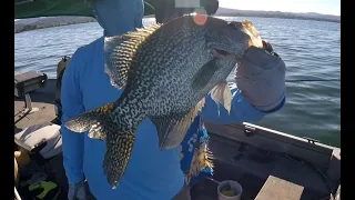 Scorching Temps And Hot Crappie Action!