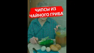 Подкаст "Инфа 100%" Чипсы из чайного гриба