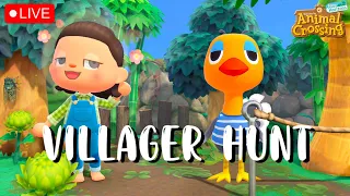 🔴 SANDY HUNT? WHAT?! Chill Villager Hunt | Live Stream | Animal Crossing New Horizons