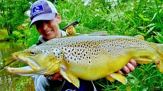 BIG TROUT Fly fishing in Germany 🇩🇪