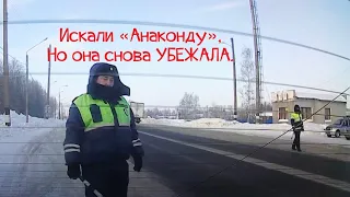 Срочная новость! В Нижегородской области объявилась "анаконда"! Убежала при виде видеокамеры!