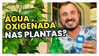 ÁGUA OXIGENADA nas PLANTAS | Como eliminar pragas e doenças