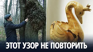 Уникальные скульптуры из наростов на деревьях создаёт россиянин