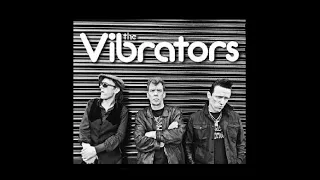 The Vibrators - Live in Poznań, Poland 2nd February 2016