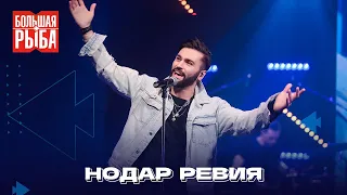 Нодар Ревия. Концерт | Живой звук