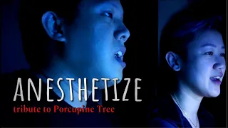 Anesthetize | Porcupine Tree | Gothik Serpent Cover