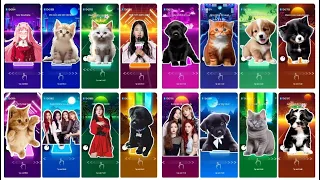 Cute Cats vs Cute Dogs Megamix Toca Toca Dance Despacito Baby Shark vs Blackpink vs BTS vs bongo cat