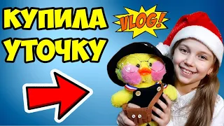 УТОЧКА из ТИК ТОКА (Лалафанфан) 🦆 ГДЕ купить? СКОЛЬКО стоит? // Покупаем УТОЧКУ LALAFANFAN (vlog)