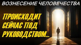 Вознесение человечества: происходит сейчас под руководством...