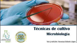 Técnicas de siembra- Microbiología