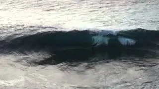 FAIRLY NORMAL BODYBOARDING MOVIE