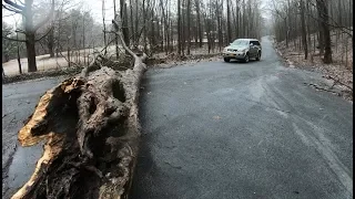 Cutting a tree out of the road