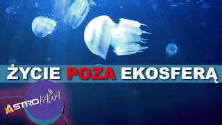 Życie w kosmosie poza strefą komfortu - AstroKawa 135