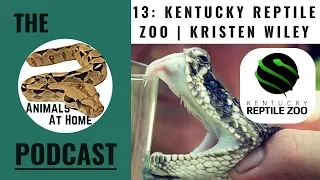 Working with Venomous Snakes | Kristen Wiley - The Animals at Home Podcast