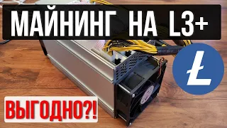 МАЙНИНГ на асике L3+ в мае 2023. ДОХОД и ОКУПАЕМОСТЬ