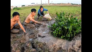 3 Hunters Facing Carnivorous Fish Under Sinkhole, Snake and Fishing Videos