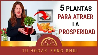 ✔ 5 PLANTAS para atraer 💰 DINERO 💰 al hogar según el FENG SHUI 🔥