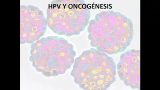 2017/05 - HPV: un asunto de Salud Pública