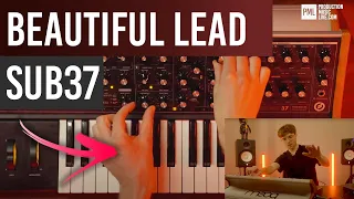 Moog Sub 37 Tutorial | Beautiful Lead Sound | Organic and Melodic House