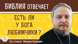 Есть ли у Бога любимчики ?  Протоиерей Феодор Бородин