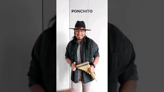 PONCHITO - Traditional Music #sanjuanito #tradicional #zampoña #quena #andina #ethnicmusic