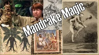 Ancient Magic & Medicines - The Screaming Mandrakes