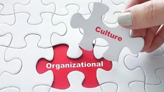 Organizational Culture and it's Example