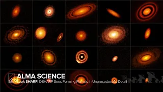 ALMA Observatory and the Epoch of Planet Formation