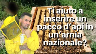 Apicoltura Top Bar: come inserire un pacco d’api in un’arnia nazionale