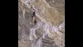 Adam ondra uses a ‘Knee-Bar’ to bring blood back to his forearms