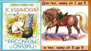 РАССКАЗЫ о животных, птицах, растениях. - 2-я часть книги (К Ушинский) - читает бабушка Лида