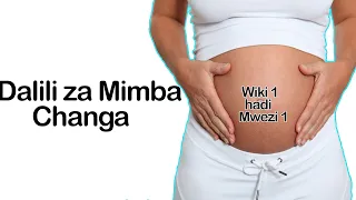 Dalili za Mimba Changa ya Wiki Moja! | Dalili 30 za Mimba Changa, Mimba ya Wiki 1 hadi Mwezi 1.