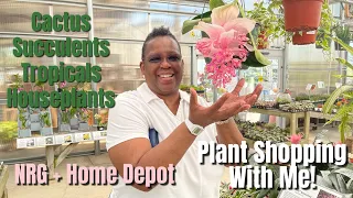 409: Hunting For Plants For My Outdoor Cactus & Succulent Garden | Local & Big Box Plant Nurseries