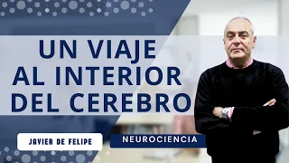 🧠 El cerebro, ¿el gran desconocido? Javier de Felipe - Un Viaje al interior del CEREBRO