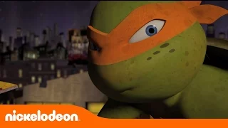 Las Tortugas Ninja | Pizza de Techo | TMNT | Nickelodeon en Español