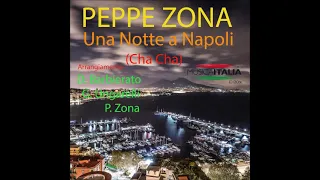 Una Notte a Napoli Remix ( Cha Cha ) Peppe Zona
