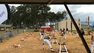 Woodchopping Final 2 Man Standing Relay Handicap Royal Launceston Show 7/10/22 @amandabeams3354