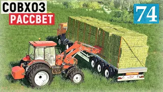 Farming Simulator 19 - Собираю тюки сена. Перевозка сена и навоза - Фермер в совхозе РАССВЕТ # 74