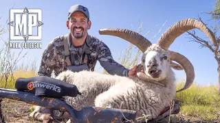 Hunting 4 Horn Ram in Argentina | Mark V. Peterson Hunting