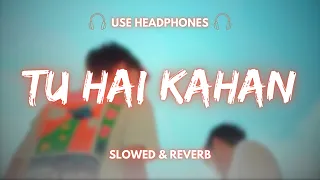 AUR - TU HAI KAHAN ( Relaxing Version ) | Slowed & Reverb + 8D Audio | chaal chal tu apni