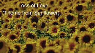 Loss of Love（Theme from Sunflower）I Girasoli【ひまわり】