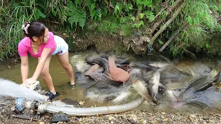 Survival Fishing - Using pumps, pumping water outside the natural lake, Harvesting a lot of big fish