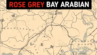 Only Way To Ride Rose Grey Arabian As Arthur Without Mods 🔥 RDR2