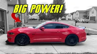 HOW I PLAN TO SUPERCHARGE MY 2019 MUSTANG GT!